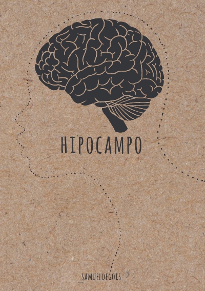 hipocampo.jpg